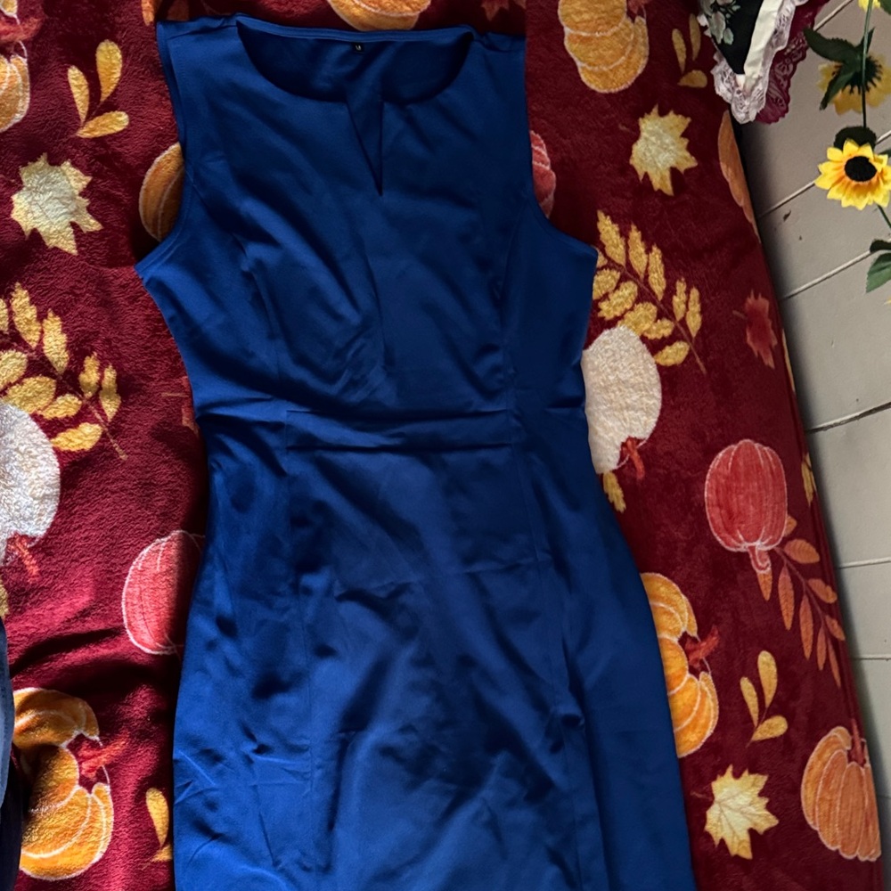 Elegant Blue Sleeveless Dress